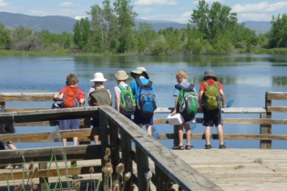 looking-for-fish-at-sawhill