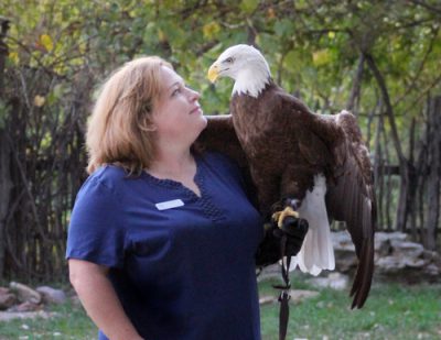 Friday Family Fun with Birds of Prey Foundation!